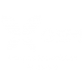 Logo_GEM_WEB copia